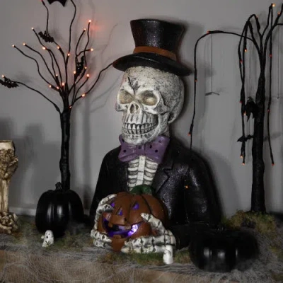 Northlight Led Lighted Skeleton With Jack-o-lantern Halloween Decoration In Multi