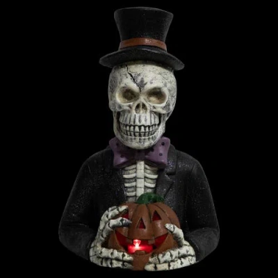 Northlight Led Lighted Skeleton With Jack-o-lantern Halloween Decoration In Multi