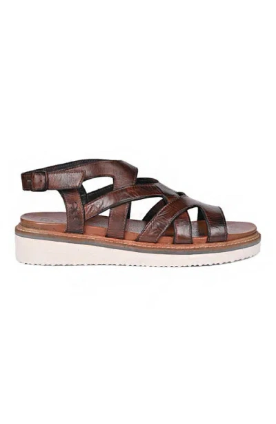 Roan Centrist Sandal In Brown