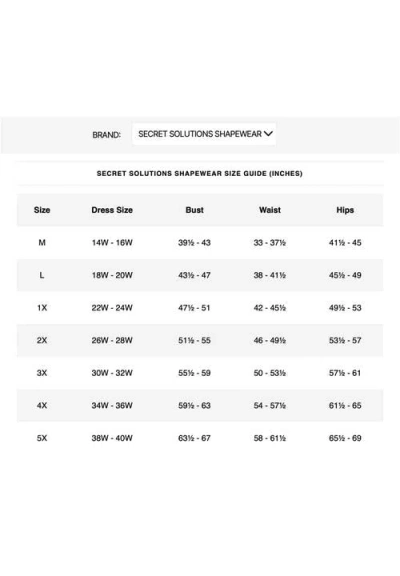 Secret Solutions Power Mesh Firm Control Shaping Brief In Black