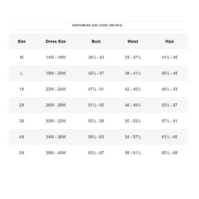 Secret Solutions Power Mesh Firm Control Shaping Brief In Neutral