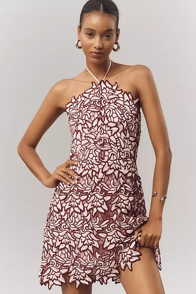 Endless Rose Halter Lace Mini Dress In Multi