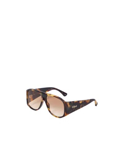 Chloé Teardrop Aviator Sunglasses Tortoiseshell Frame In Brown