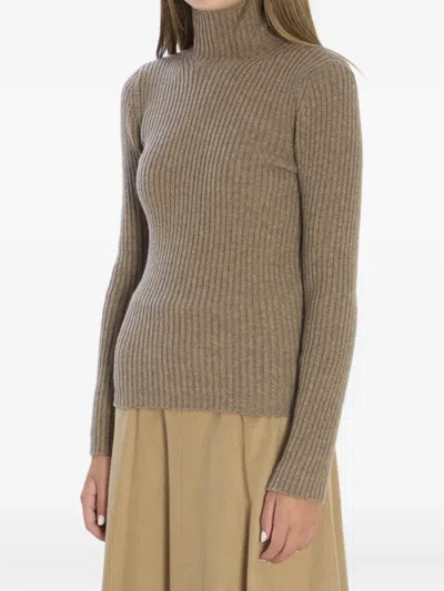 Max Mara Ribbed Wool And Cachemire Turtleneck Sweater In Brown