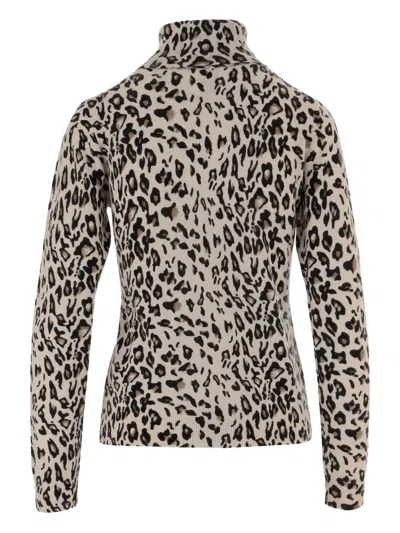 Allude Animal Print Wool And Cashmere Sweater In Brown