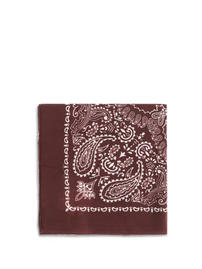 Destin Judy Paisley Bandana Scarf In Brown