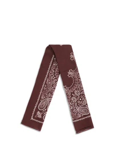 Destin Judy Paisley Bandana Scarf In Brown