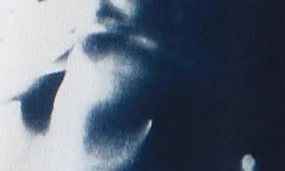 Akris Wildflower Print Sleeveless Silk Sweater In Blue