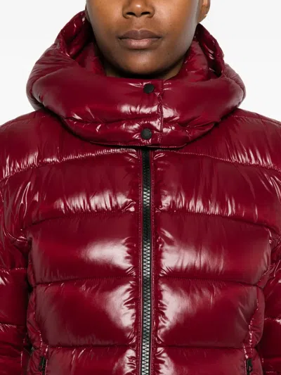 Save The Duck Cropped Puffer-style Jacket With High Collar In Red