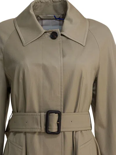 Burberry Cotton Trench Coat Adjustable Waistband In Neutral