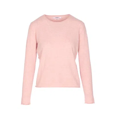 Not Shy Crew-neck Cashmere Sweater In Pink