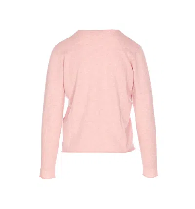 Not Shy Crew-neck Cashmere Sweater In Pink