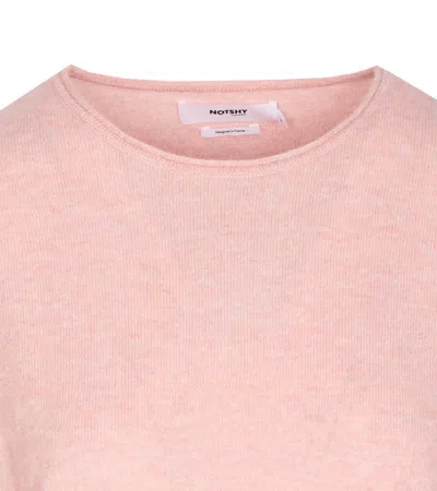 Not Shy Crew-neck Cashmere Sweater In Pink