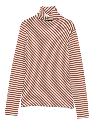 Niū Diagonal-stripe Turtleneck Top In Multi