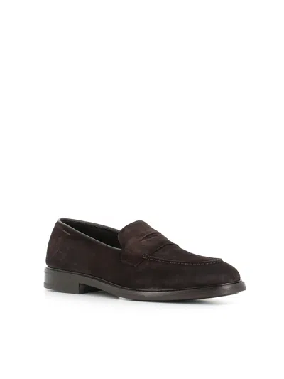 Alexander Hotto Penny Suede Loafers In Brown