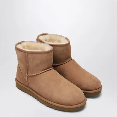 Ugg Classic Mini Ii Boots In Chestnut In Brown