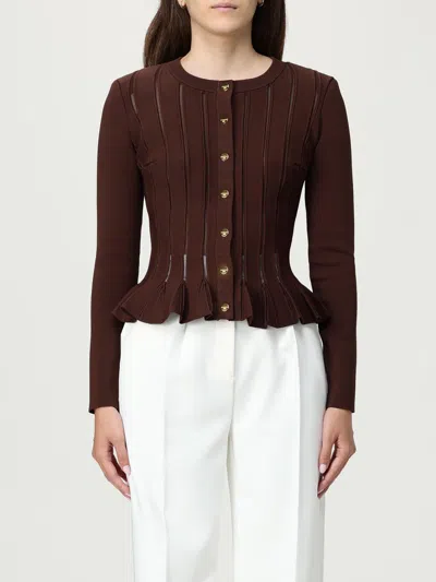 Elisabetta Franchi Knitwear Sweater With Gold Button Detailing In Brown