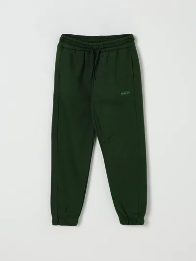 Msgm Pants  Kids Kids Color Green In Green