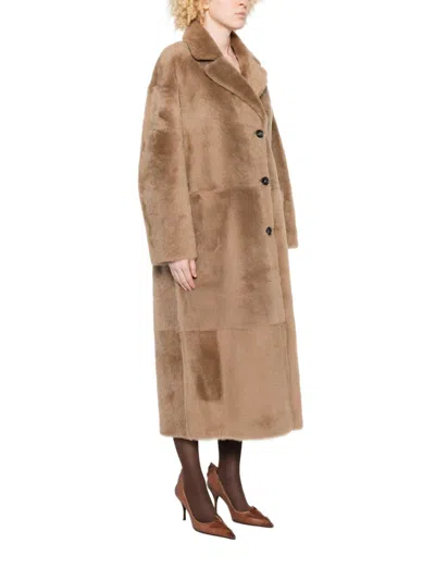 Furling By Giani Women's Coats In Brown