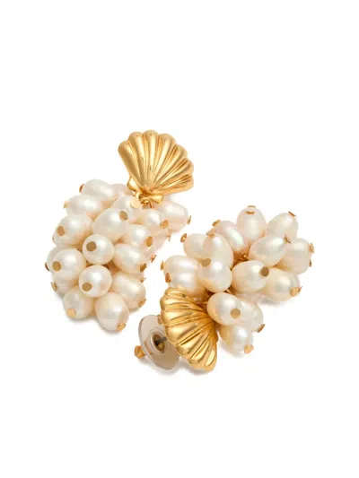 Kenneth Jay Lane Shell-shaped Pearl Cluster Drop Earrings In Gold