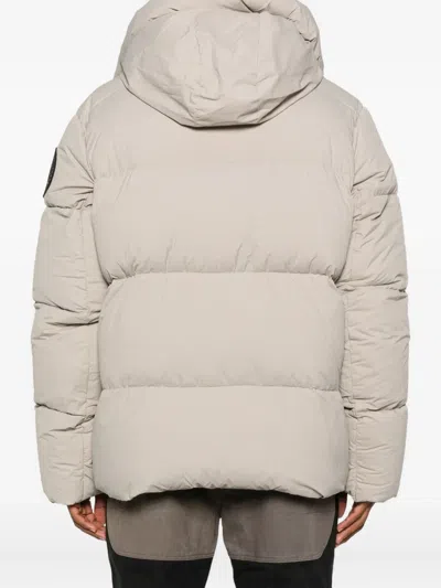 Canada Goose Hooded Puffer Jacket Elastic Cuffs In Neutral