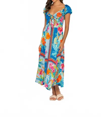 Tolani Remy Dress In Palm In Multi