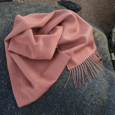 Jessie Zhao New York Cashmere Scarf With Leopard Embroidery - Coral Pink In Pink