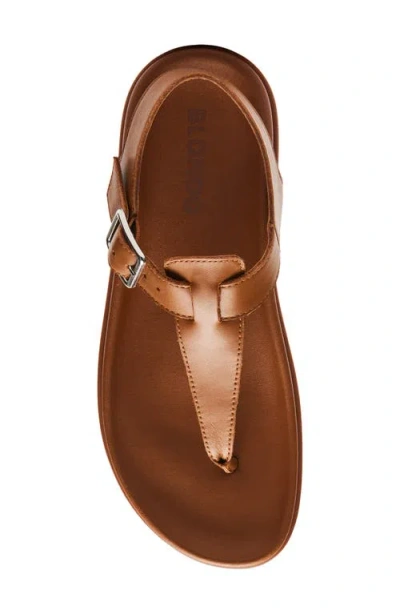 Blondo Nelli Sandal In Brown
