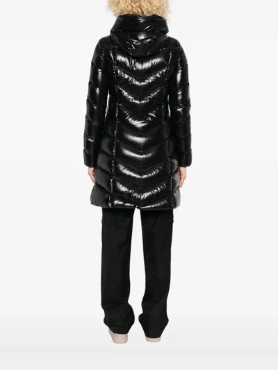Moncler Chevron-quilted Hooded Puffer Jacket In Black