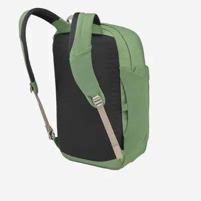 Osprey Arcane™ Xl 黑天 In Green