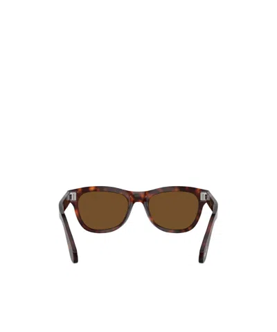 Persol Po0086s In Brown