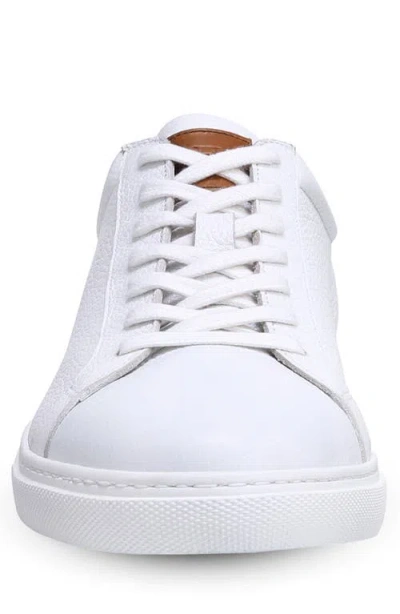 Allen Edmonds Courtside Sneaker In White
