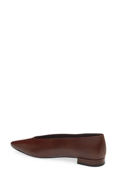 Jeffrey Campbell Hinted Pointed Toe Flat In Brown