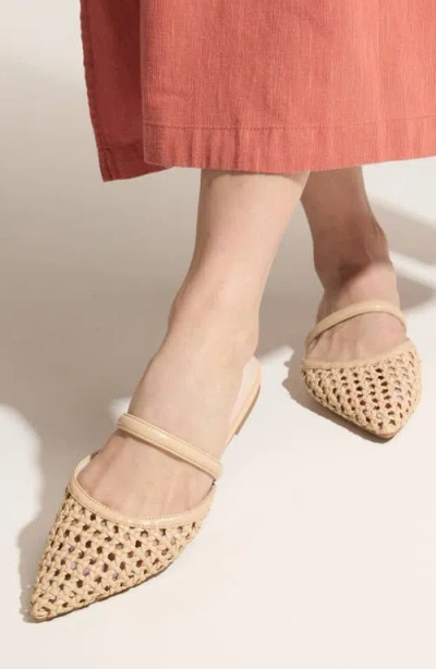 Yosi Samra Justine Pointed Toe Mule In Neutral
