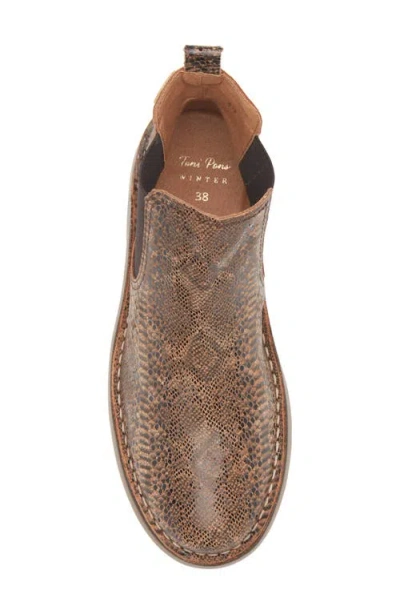 Toni Pons Isa Snakeskin Embossed Chelsea Boot In Brown
