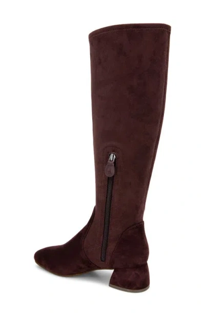 Gentle Souls Women's Emily Stretch Boots In Burgundy