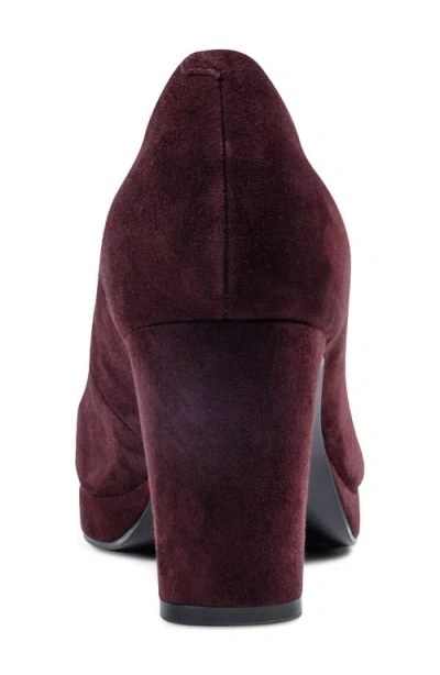 Rockport Women's Carmen Total Motion Dress Pumps In Burgundy