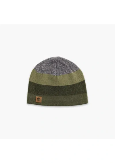 Turtle Fur Btv Wool Beanie In Green