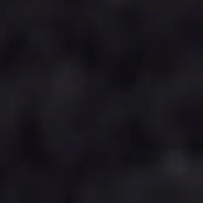 Hunkemoller Holbox Bikini Top In Black