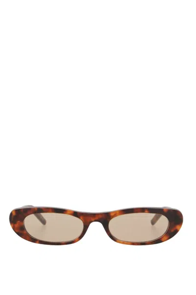 Saint Laurent Sl 557 Shade Havana Sunglasses In Brown