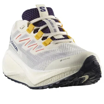 Salomon (wmns)  Aero Blaze 3 Grvl Gore-tex 'vanilla Ice Astral Aura' In Multi