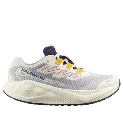 Salomon (wmns)  Aero Blaze 3 Grvl Gore-tex 'vanilla Ice Astral Aura' In Multi