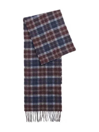 Barbour Tartan Lambswool Scarf Accessories In Multi