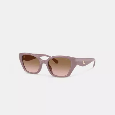 Coach C Hardware Square Cat Eye Sunglasses In Pink