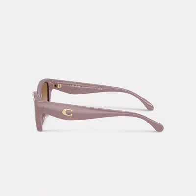 Coach C Hardware Square Cat Eye Sunglasses In Pink