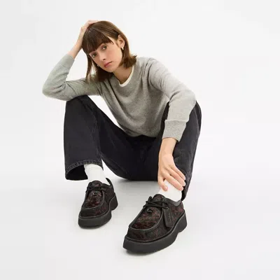 Coach Sculpted C Chukka Boot With Leopard Print In Brown