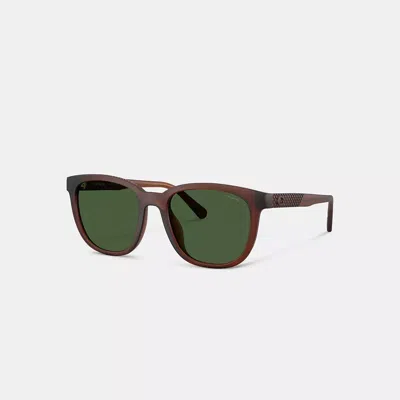 Coach Textured Square Sunglasses In Green