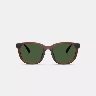 Coach Textured Square Sunglasses In Green