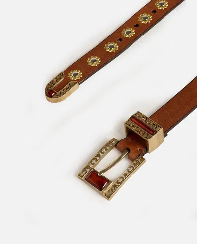 Golden Goose Belt With Amber Inserts Leather Body With Metallic Gold Flower Details Belts Brown In Brown