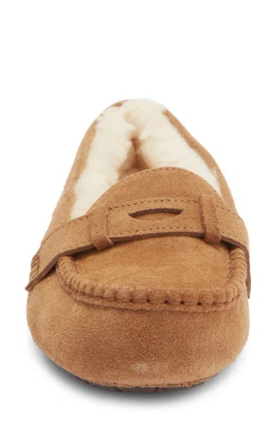Ugg Willow Slipper In Brown